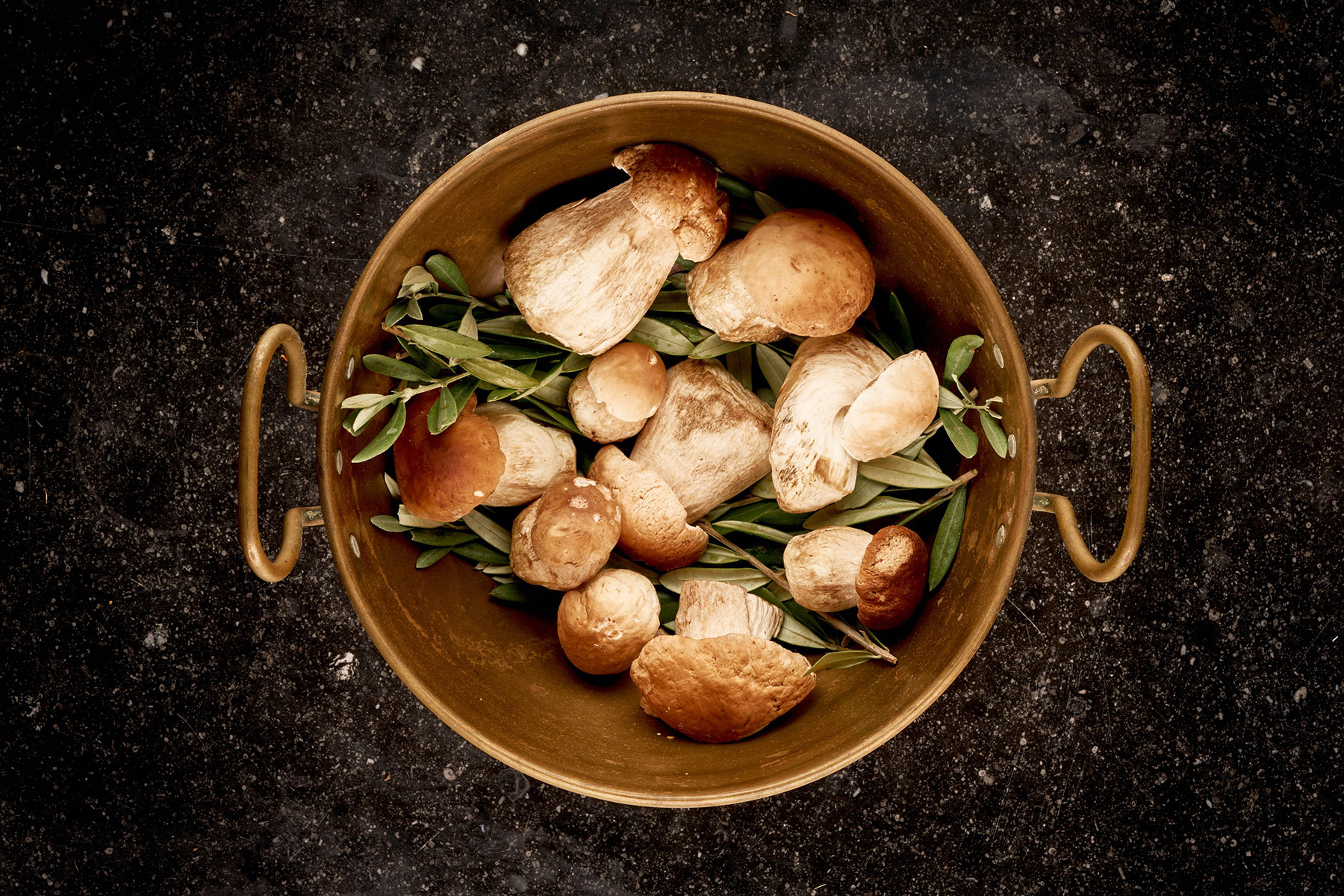 Frische Pilze aus Wildsammlung